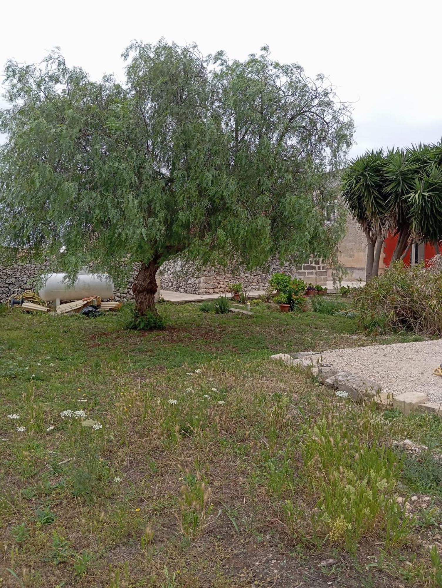 Appartement Casolare Giardino Aiarella-Assunta à Merine Chambre photo